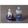 Image 1 : Pair Kangxi Mark BW Snuff Bottles Red Fish & Waves