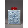 Image 2 : Chinese Daoguang BW Porcelain Tea Caddy