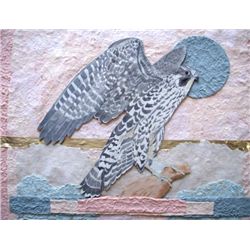Peregrine Falcon By Coleman 34 x 35