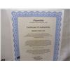 Image 3 : vintage original cartoon cel with cert of auth (COA) and under drawing, Pinocchio