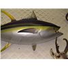 Image 2 : massive mounted Yellow Fin Tuna,  SSR  SSR (we cannot ship!)
