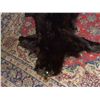 Image 2 : small bear skin rug