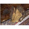 Image 2 : leather western saddle