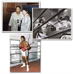 Sports Boxing Muhammad Ali Muhammad Ali Colle