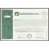 Image 1 : MotherNature.com, Inc. Specimen Shares.