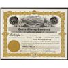 Image 1 : Cantu Mining Co. Stock Certificate.