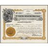 Image 1 : Savage Bear Gold & Sliver Mining Co. Stock Certificate.