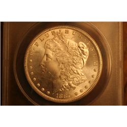 1880-S Morgan Dollar (ANACS-64)