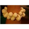 Image 1 : Costume Shell Bracelet