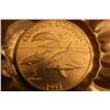 Image 1 : 1993 $5 Dolphin Coin