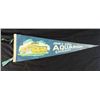 Vintage Chicago Illinois Shedd Aquarium Pennant