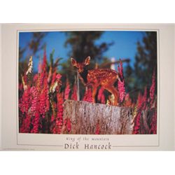 Dick Hancock KING OF THE MOUNTAIN Poster Fawn Nature