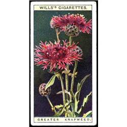 GREAT BRITAIN Cigarette Cards   c1920s Cigare