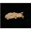 Image 2 : The Mummy (1999) Locust Prop