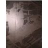 Image 2 : Scream and Scream Again  Negative