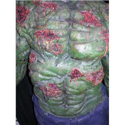 Zombie Hulk Complete Costume