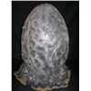 Image 1 : Aliens Egg