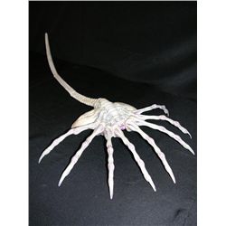 Alien Face Hugger