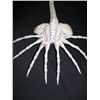 Image 2 : Alien Face Hugger