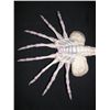 Image 4 : Alien Face Hugger