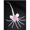 Image 5 : Alien Face Hugger