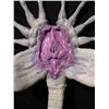 Image 7 : Alien Face Hugger