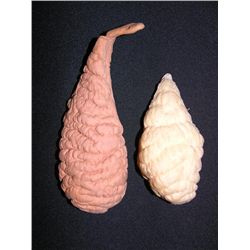 The Adventures of Buckaroo Banzai Alien Organisms