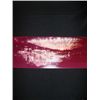 Image 4 : Close Encounters of the Third Kind Photo Album