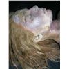 Image 8 : Gabrielle Anwar Upper Body Prosthetic