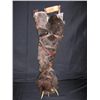 Image 5 : The Villiage Monster Arm