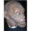 Image 2 : Troll Mask from Warcraft