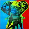 Image 2 : ELEPHANT HUGE SALE POP CANVAS COLORFUL