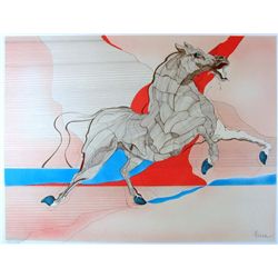 HORSE ABSTRACT COLORFUL HUGE SALE ONLY $50