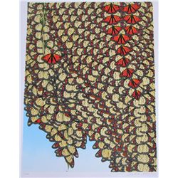 AWESOME BUTTERFLY CHRISTINE AVENUE LTD ED SALE