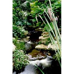 DEALER SALE PHOTOGRAPHY ART HAND SIGNED LTD ED