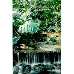 ONLY $25 LIQUIDATION SALE COLORED PHOTOGRAPH SIGNED