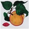 Image 2 : COLORFUL FRUIT MITRA HAND COLORED ETCHING RARE SALE
