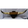Image 1 : Steer Horn Mount