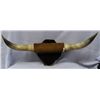 Image 1 : Steer Horn Mount