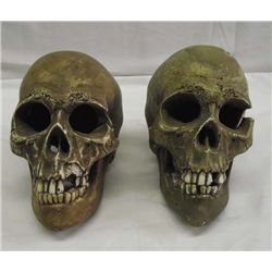 Pair Composition Skulls