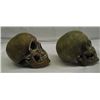 Image 3 : Pair Composition Skulls