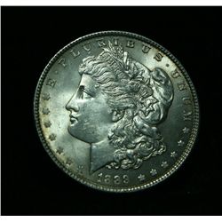 1889-p Morgan Dollar VAM 43A Rarity 5 Grades Select Uncirculated ms63