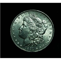 1891-p Morgan Dollar Grades Select Uncirculated ms63