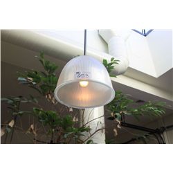 ASSORTED LIGHTING AND FANS