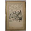 Image 1 : "Willard Mullen" (1902-1978) Ink & W/C Illustration "Three Heads For The Crown"