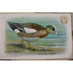 1,500 "Church & Dwight" Advertising Cards, Ca. 1925, Unused