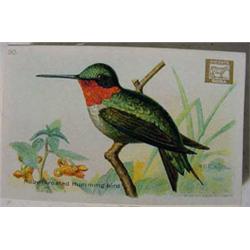 3,000 "Church & Dwight" Advertising Cards, Ca. 1920, Unused