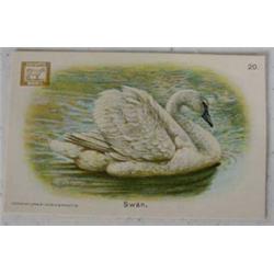 450 "Church & Dwight" Advertising Cards, Ca. 1920