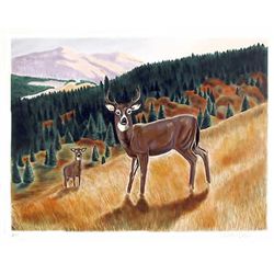 Friedman, Allen - Original Lithograph hand signed and numbered