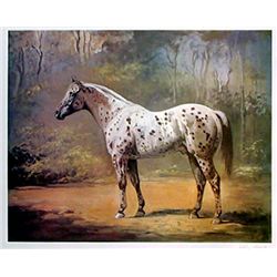 Hayse, Helen - Original Lithograph hand signed and numbered